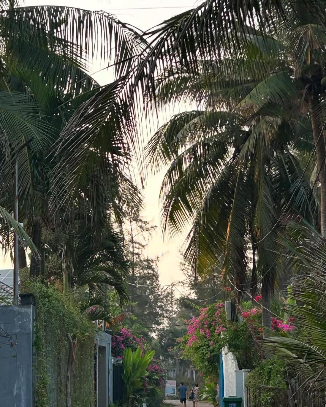 Seaside An Bang Homestay Hoi An Luaran gambar