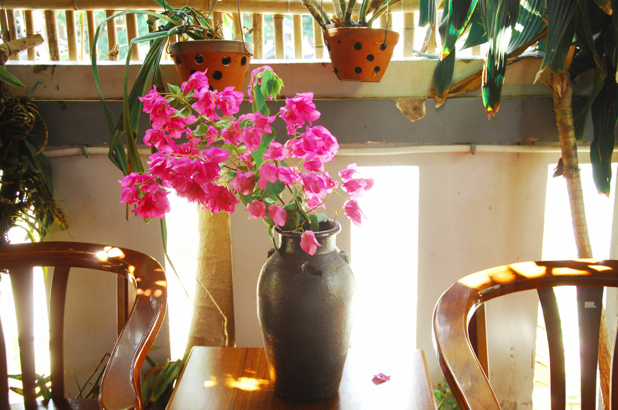 Seaside An Bang Homestay Hoi An Luaran gambar